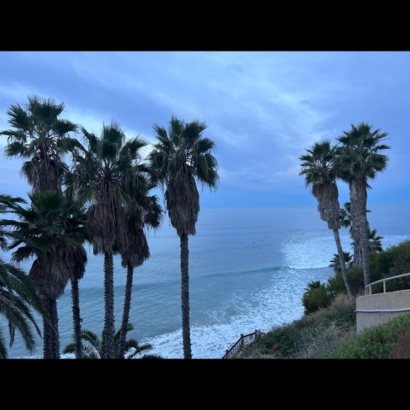 Meet your Posh Ambassador, Elizabeth - Picture 13 of 15